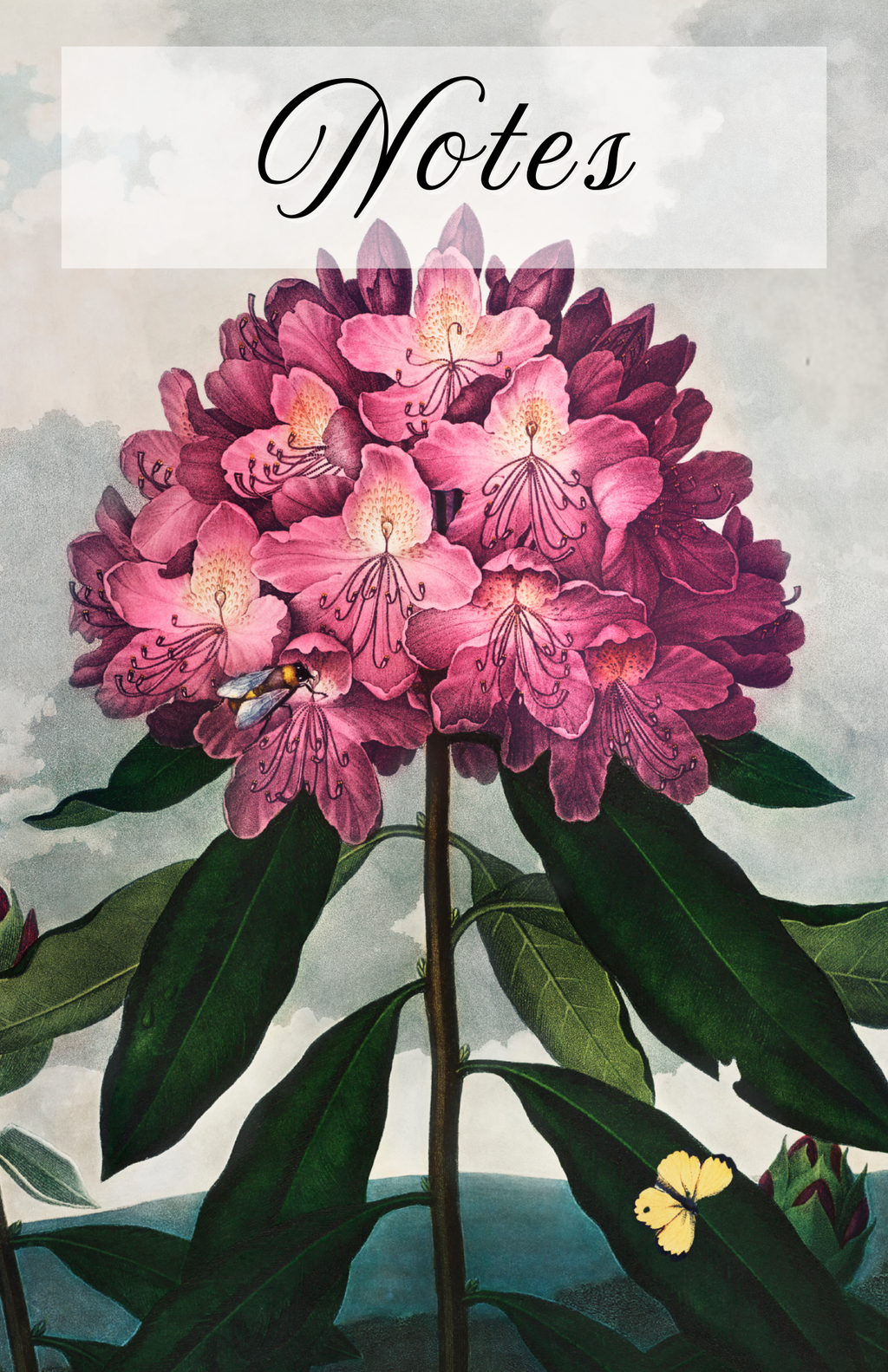 Flower Notebook Rhododendren