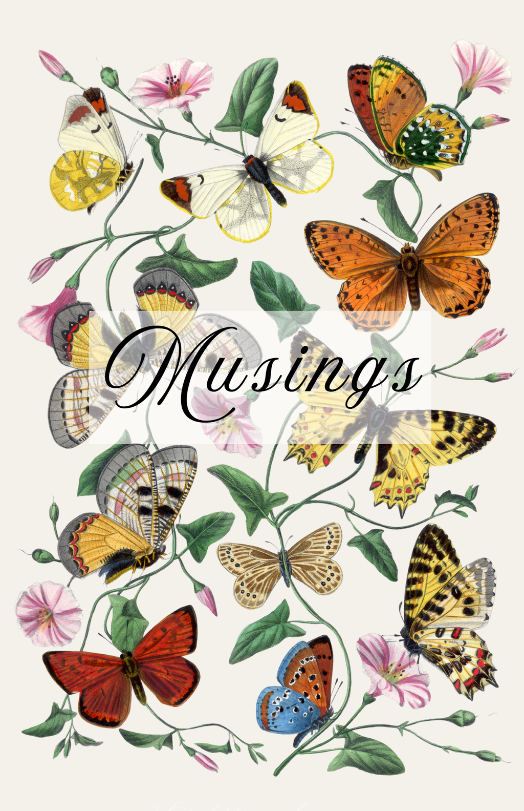 Butterflies and Moths Notebook