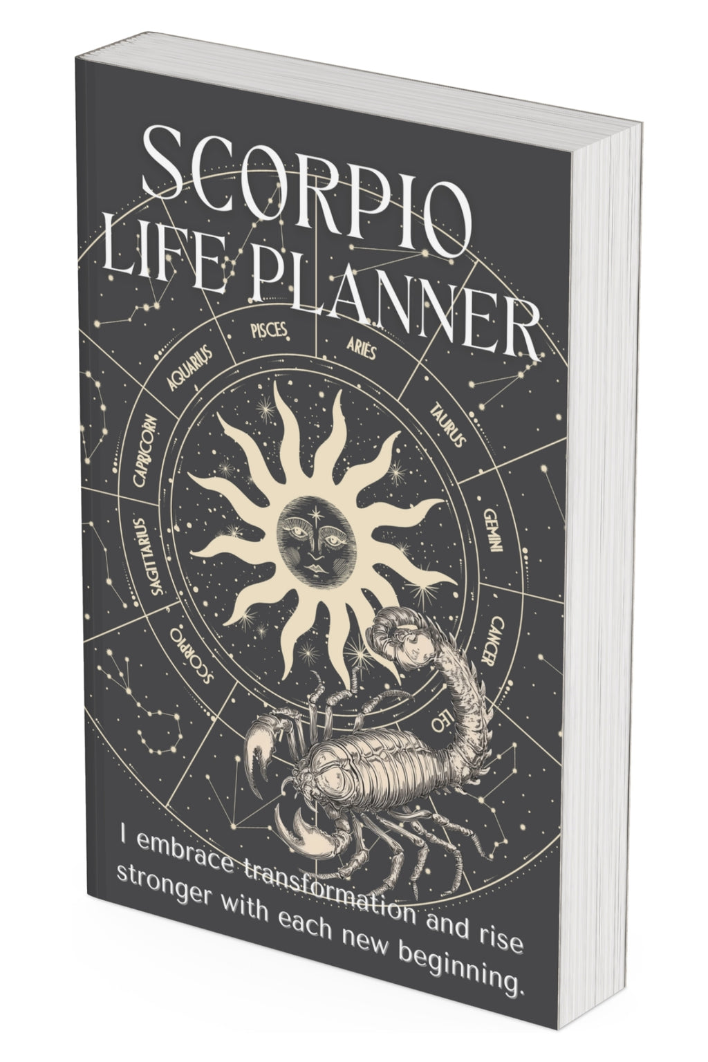 Scorpio Zodiac Sign Bullet Style Journal