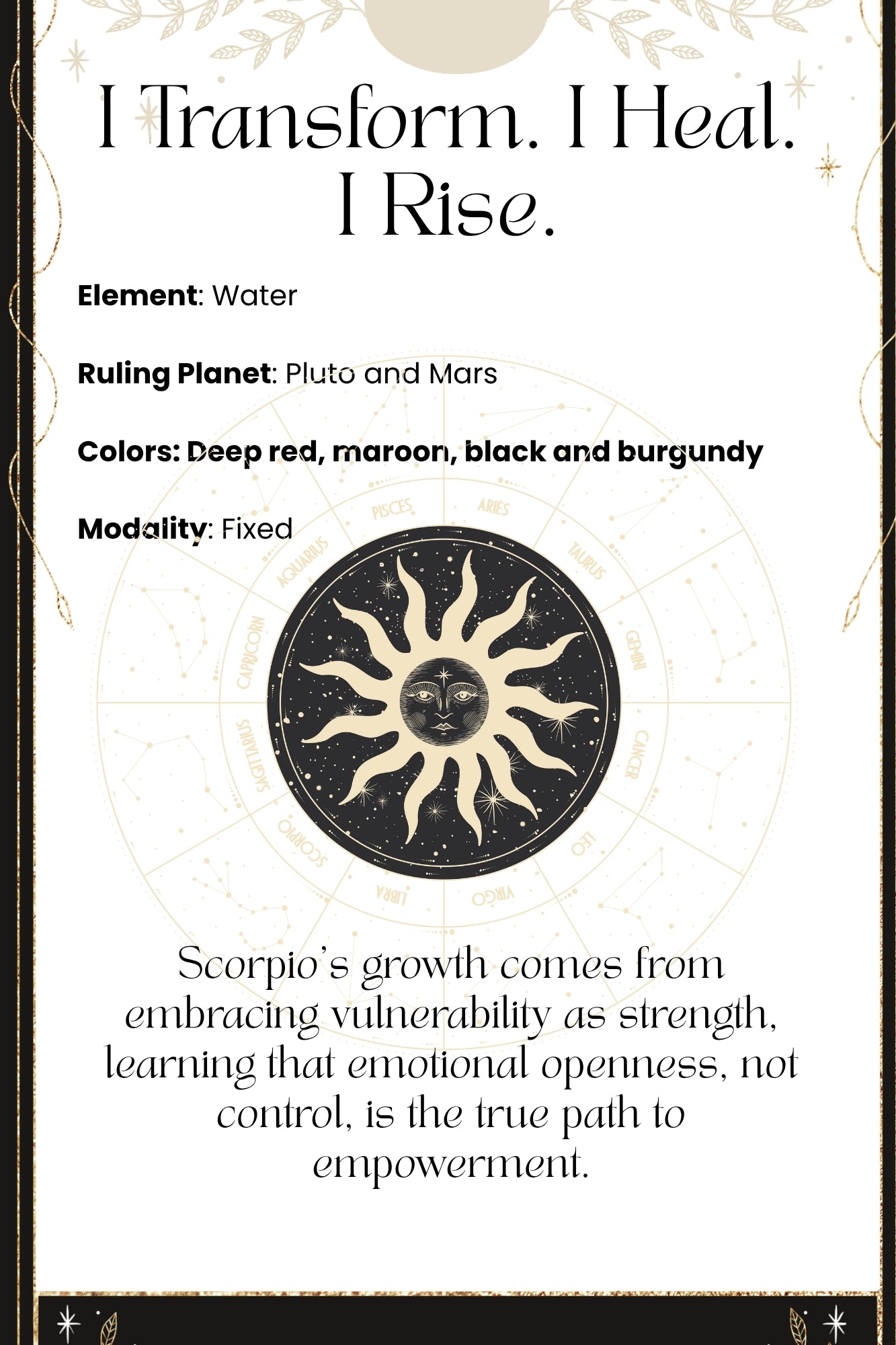 Scorpio Zodiac Sign Bullet Style Journal